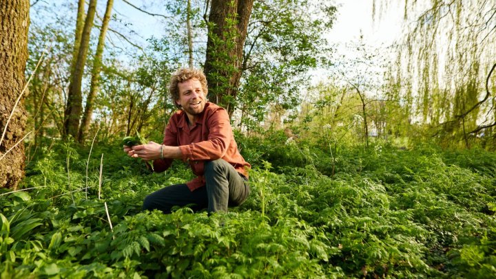 Wildplukken in de zomer: hoe verwerk je duindoorn, zwavelzwam en moerasspirea?