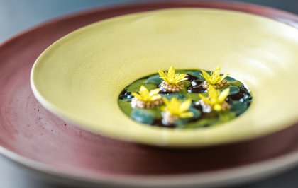 Galadiner van plant-based topchefs: een feest der (h)erkenning