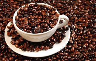 A film about coffee