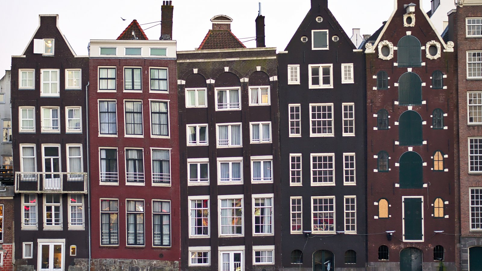 Cityguide Amsterdam