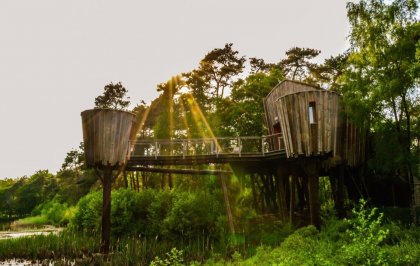 Nederlander wil anders op vakantie: in boomhut of ecolodge