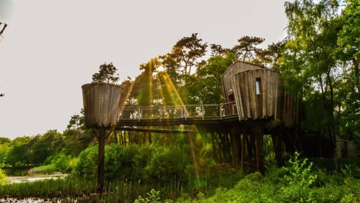 Nederlander wil anders op vakantie: in boomhut of ecolodge