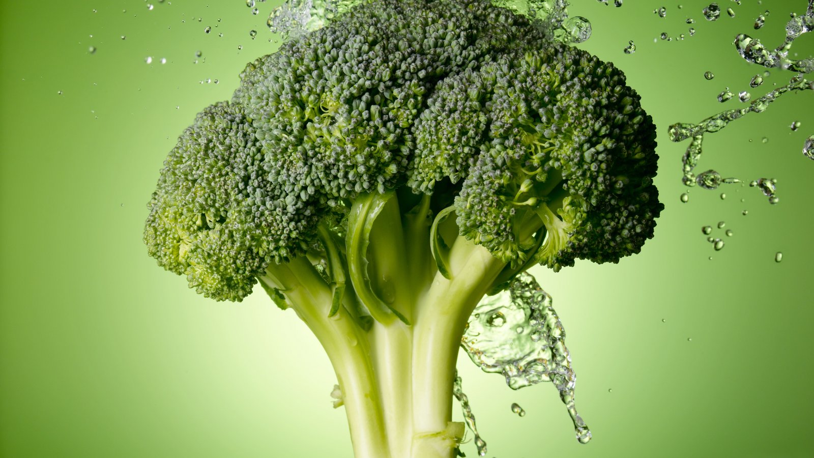 Big Bang Broccoli