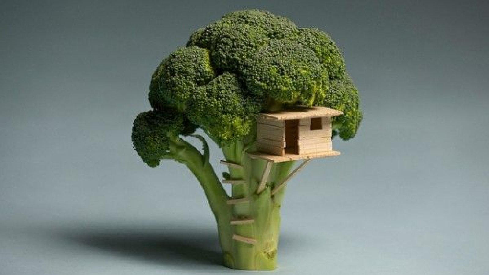 Big Bang Broccoli