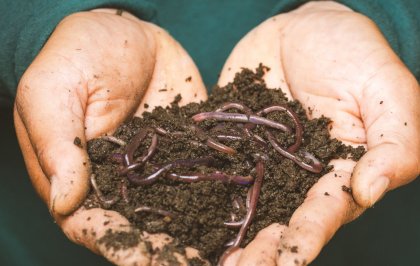 Composting: the low-hanging fruit in the fight against climate change