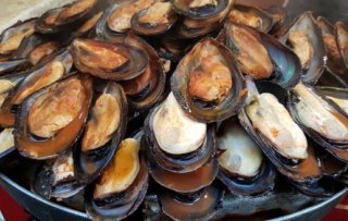 True restauration in a hospital