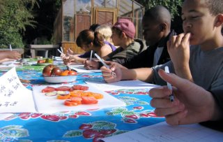 Edible Schoolyard