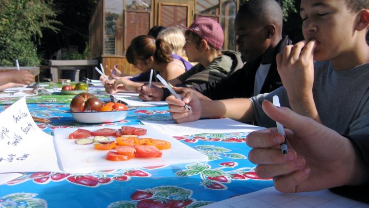 Edible Schoolyard