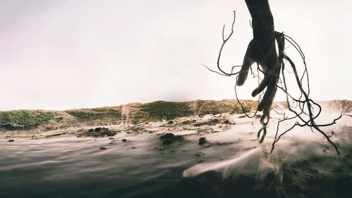 'Sojasaus is eeuwig'