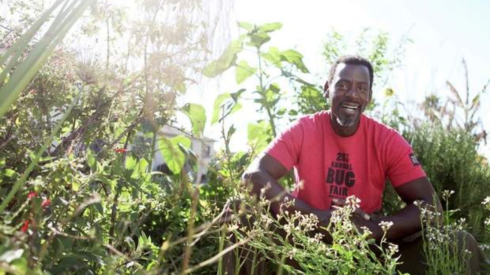 Guerrilla gardener