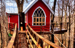 Treetop Taphouse