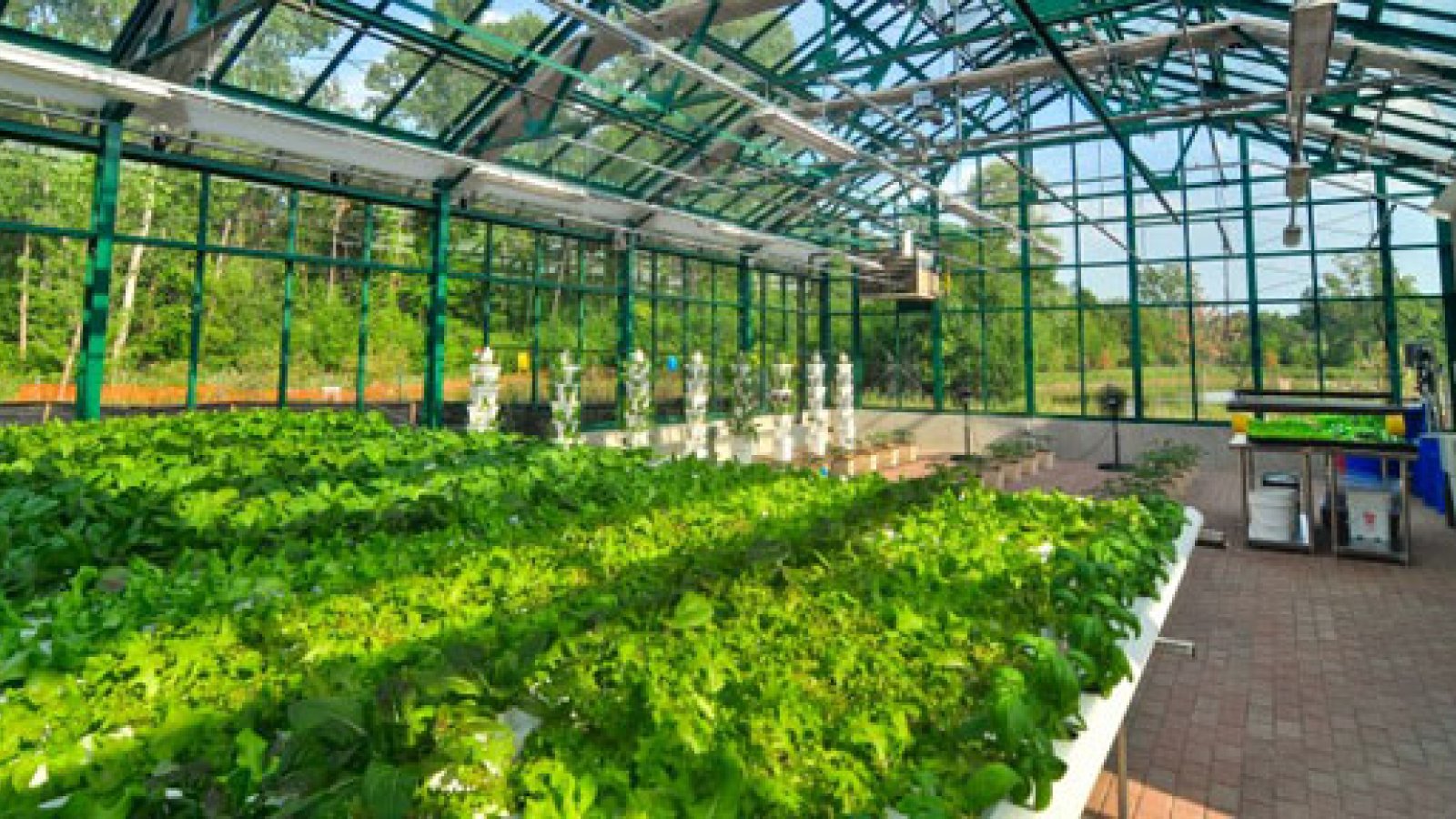 Moestuin van 1 miljoen