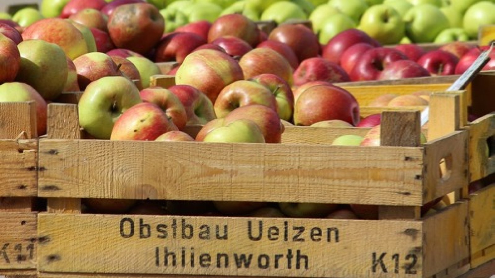 Hospital farmers market