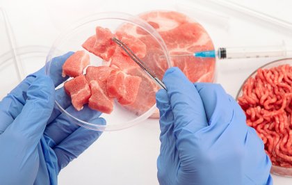 Is 's werelds eerste kweekvleesboerderij ter wereld in aantocht?