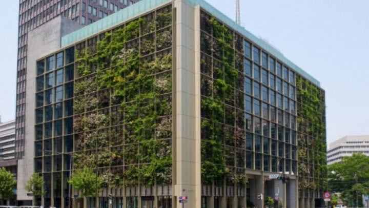 Vertical farming