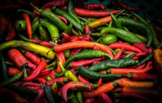Chillies to be tasted