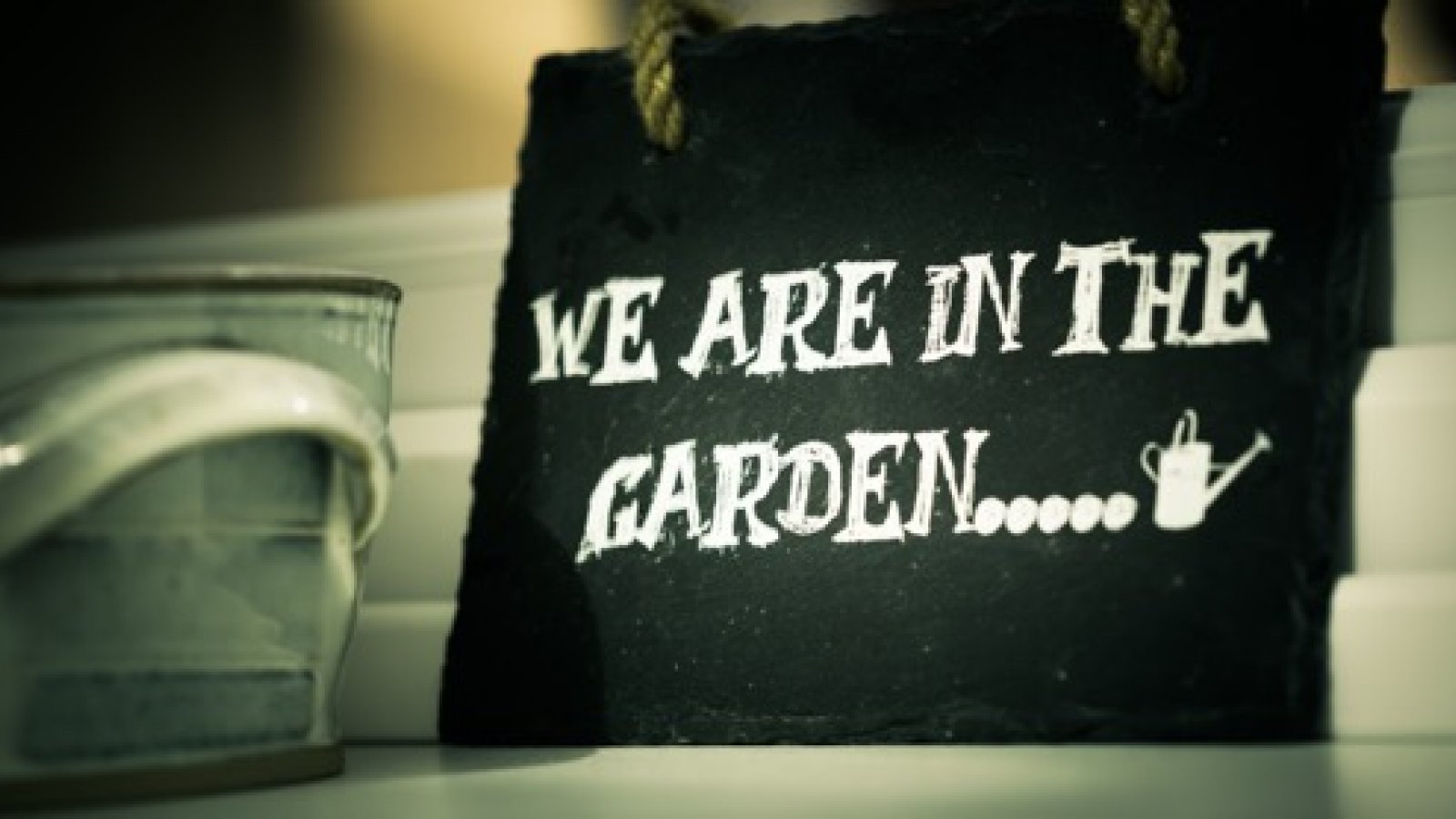 Blog: Jamie's Garden #4