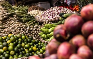 Food as daily medicine