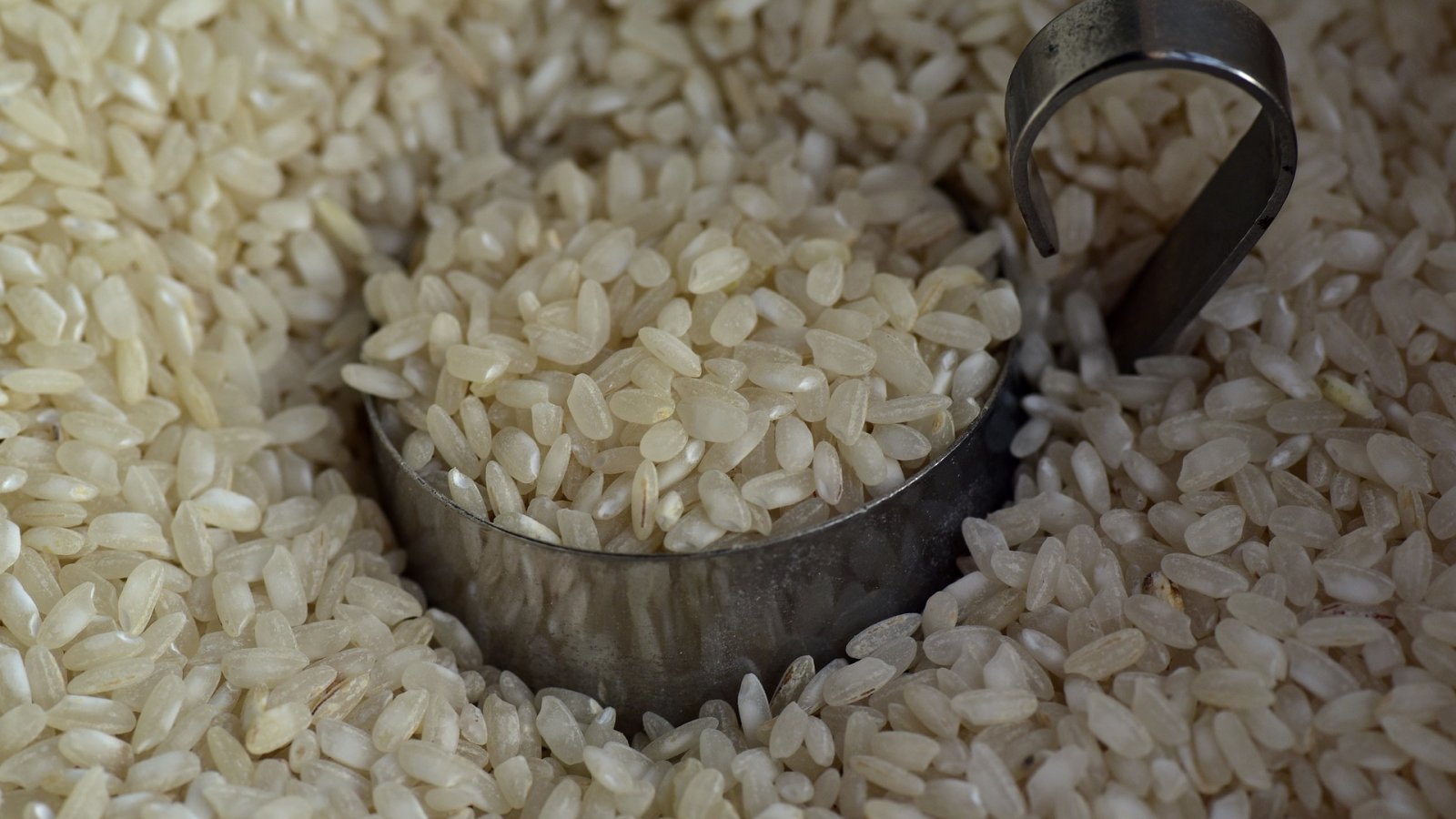Glutenvrij graan en rijst met zilver