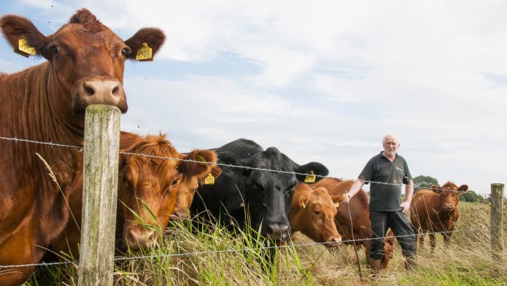 Drie jaar na de metamorfose van bioboerderij ‘t Schop