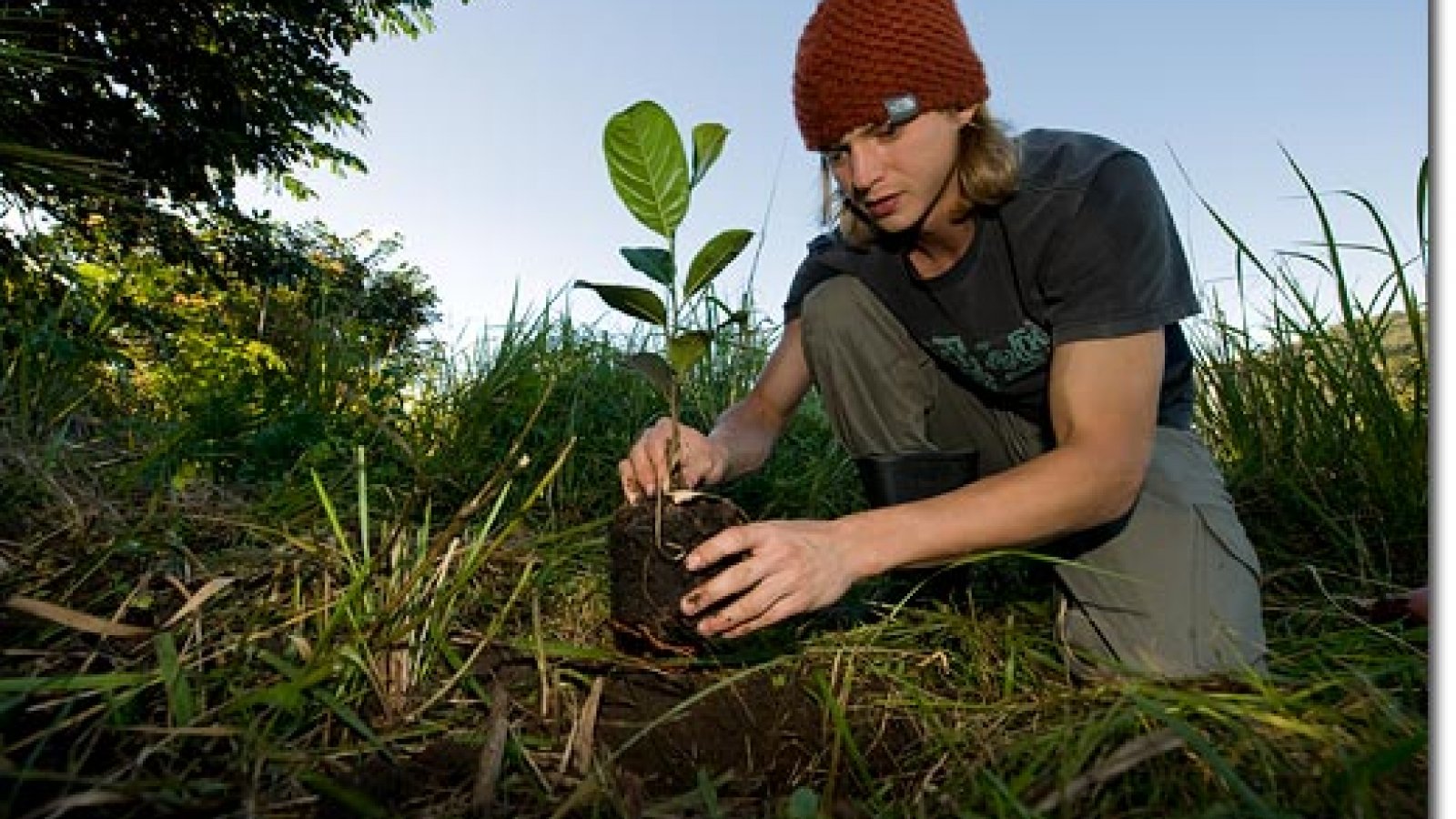 Volunteers around the world