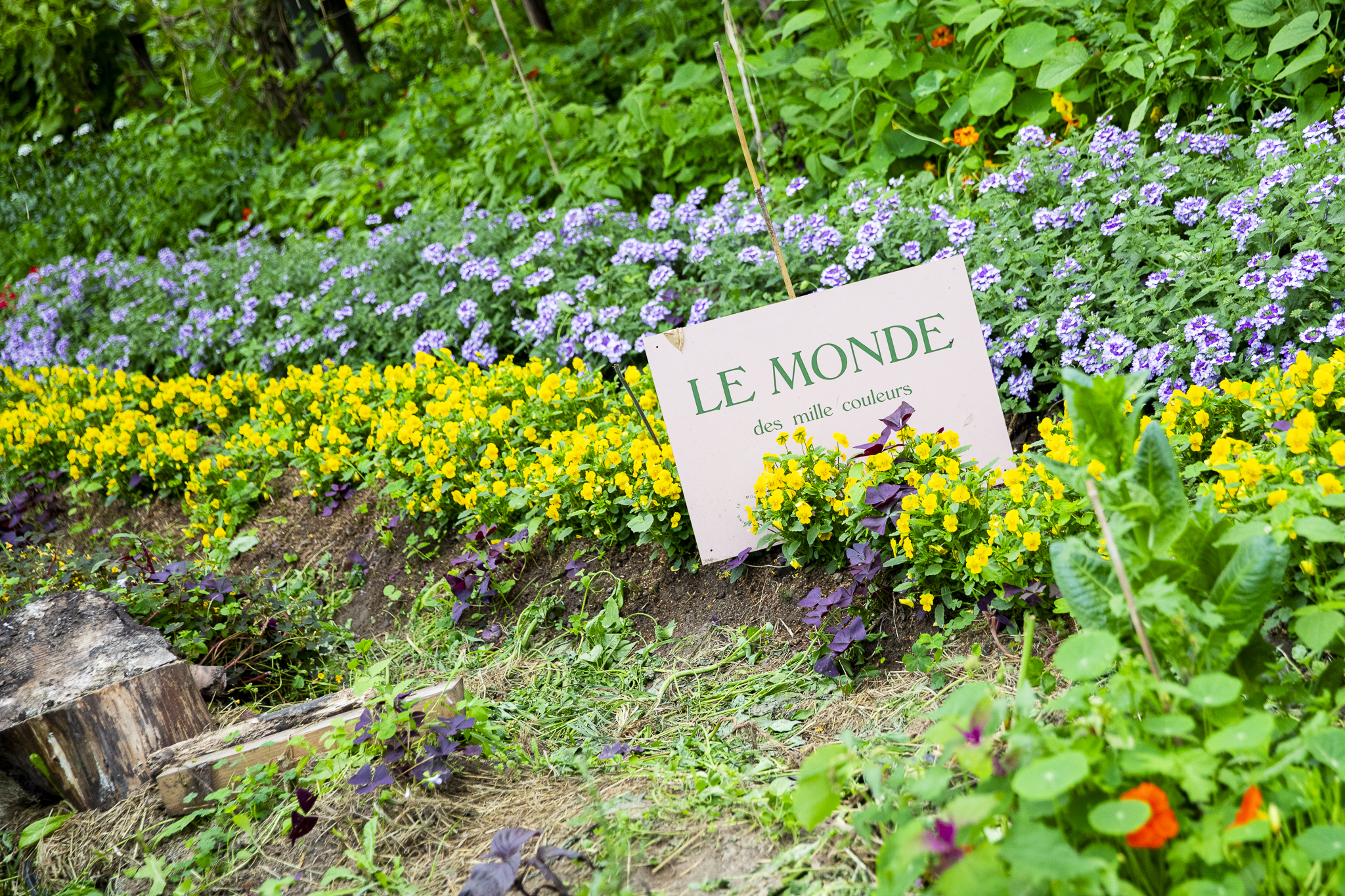 Le Monde des Mille Couleurs