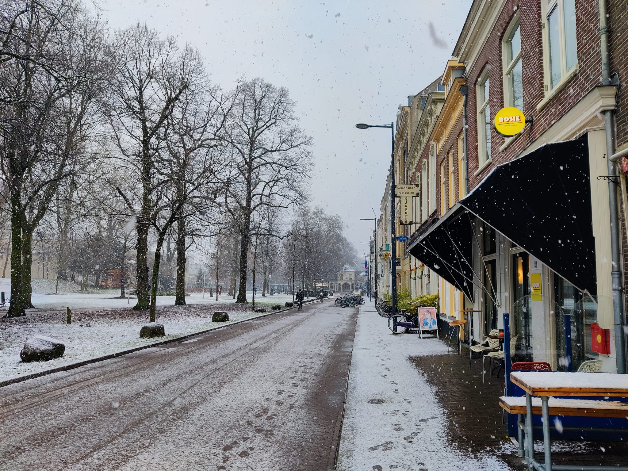 Rosie, in de sneeuw