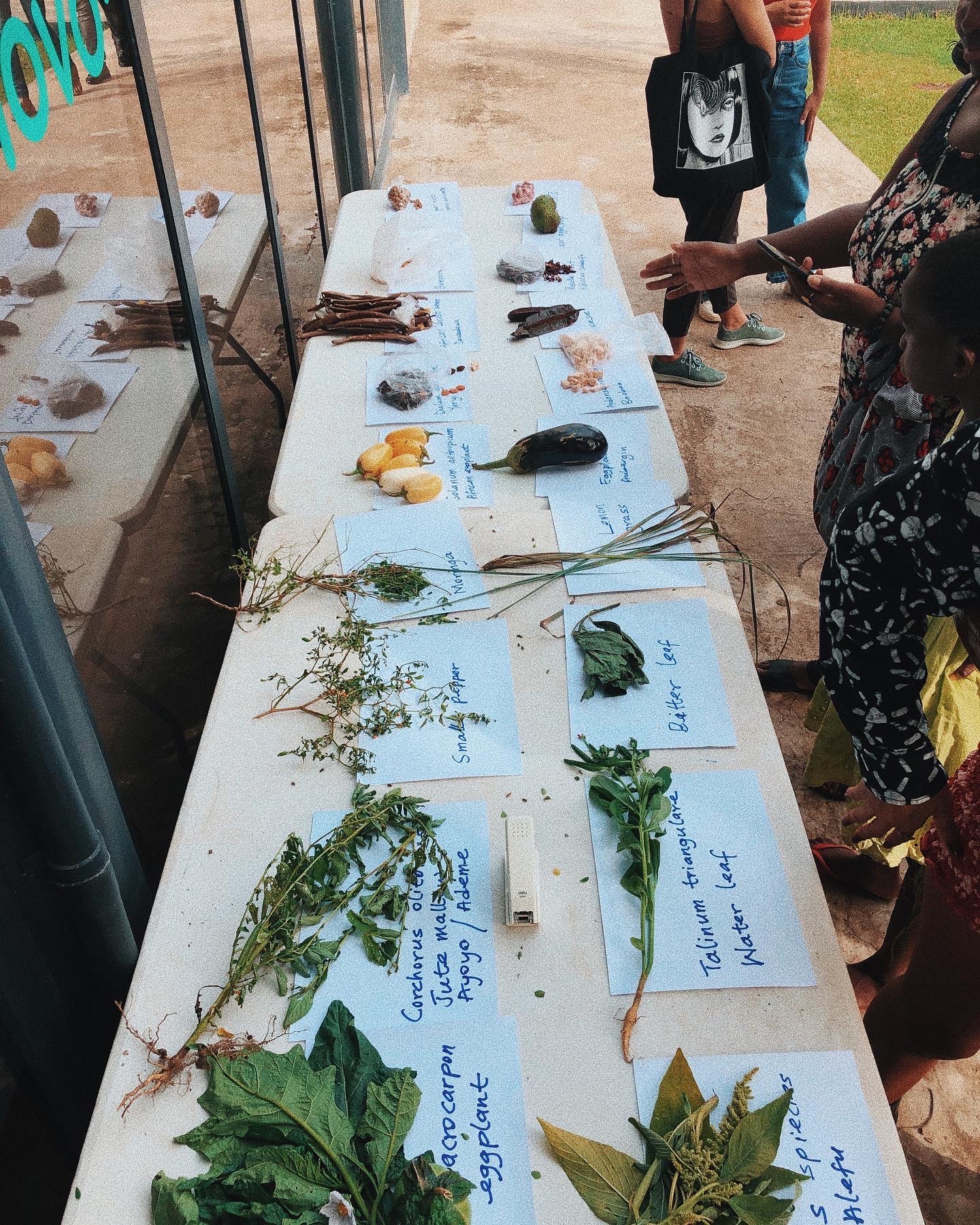 Traditional Ghanaian ingredients