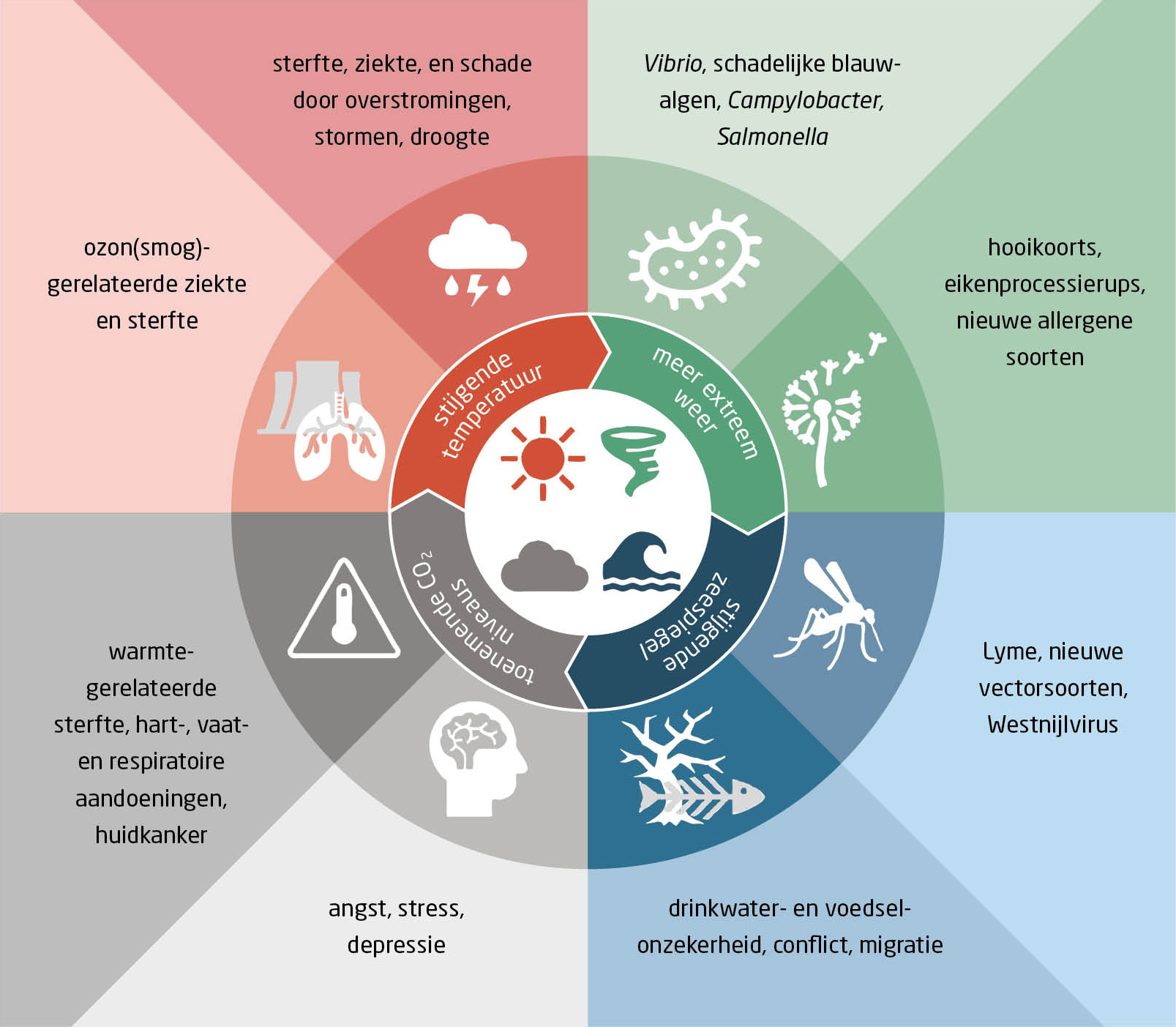 Klimaatverandering en de direct merkbare gezondheidseffecten in Nederland | © ntvg.nl/D6245