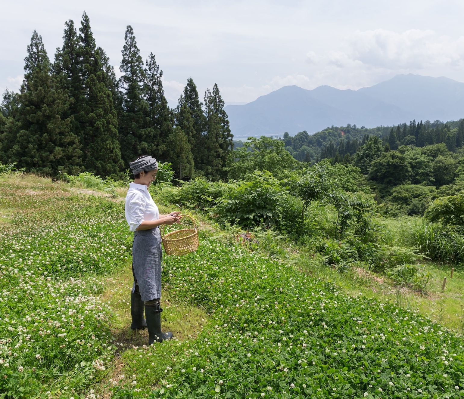 Keiko Kuwakino, pure plant lady-chef 2023