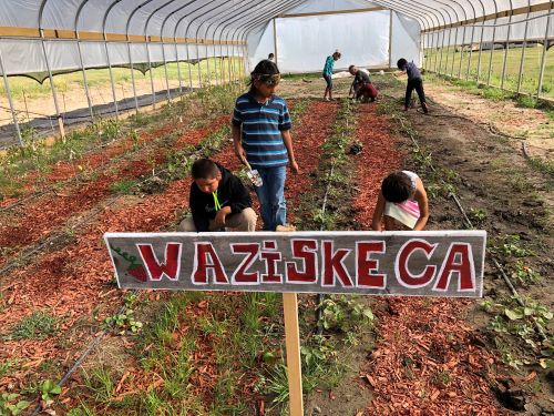 Lakota garden