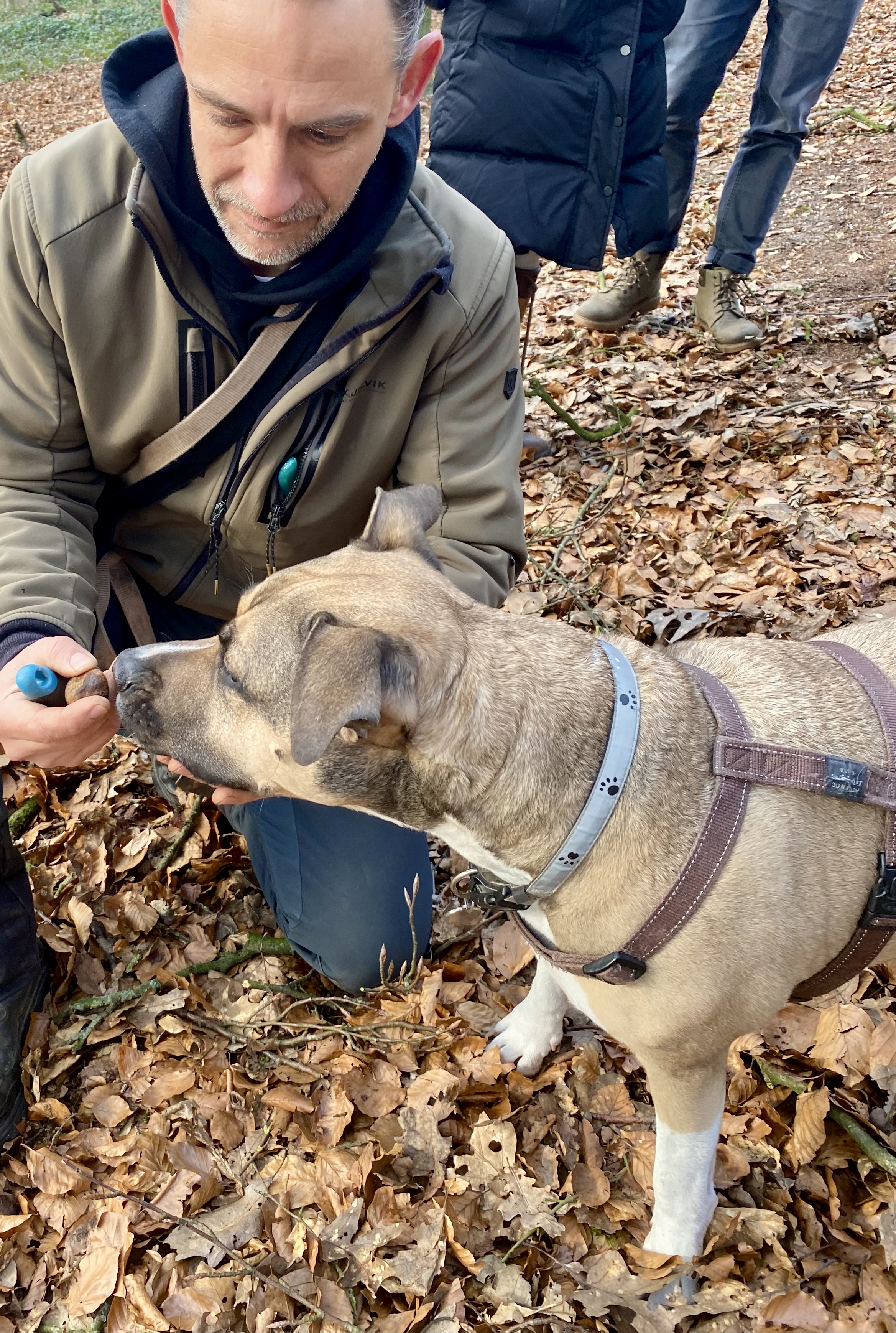 Martijn Burgers en Dexter van Truffelhond.nl