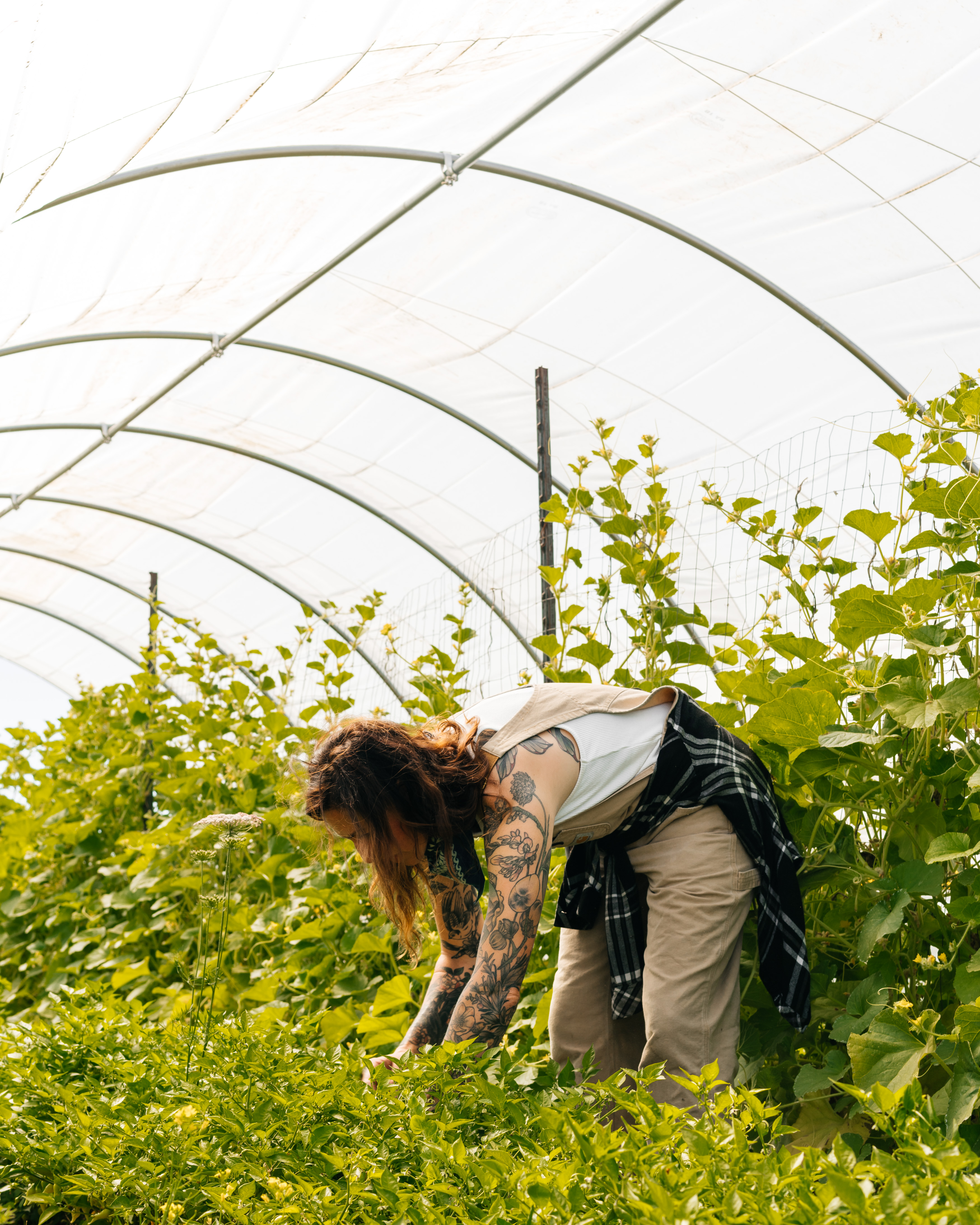 Katina in her green house, picture by: Emma K. Morris