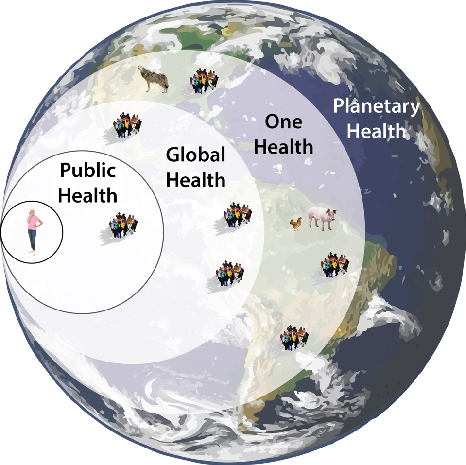 Planetary health focusus on the health and well-being of all that lives | source: forbes.com