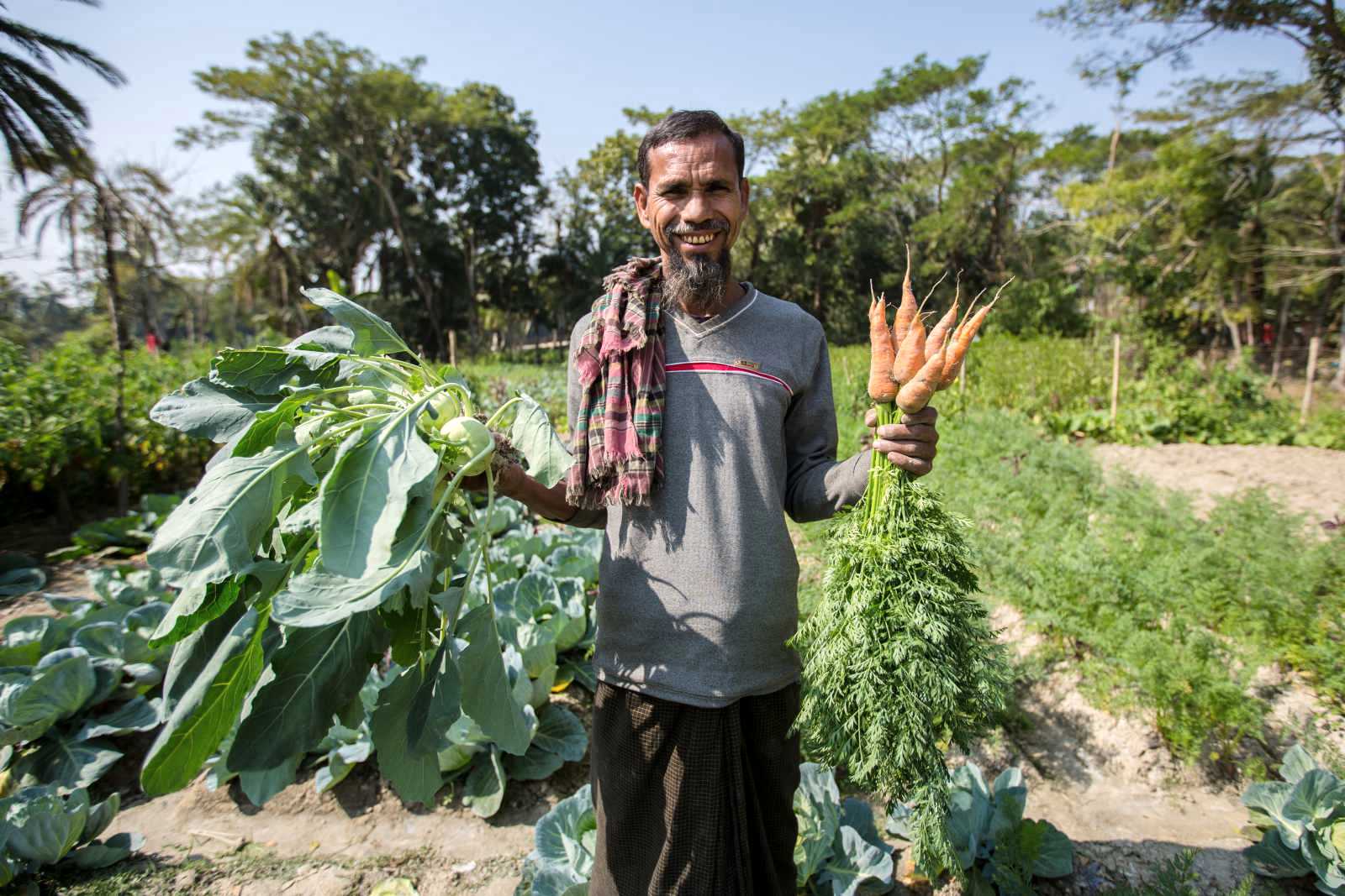 Experiments with saline crops are taking place in many places around the world