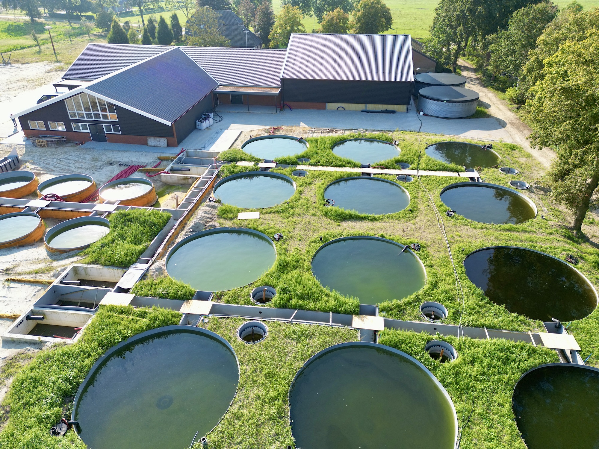 Komende weken wordt de laatste hand gelegd aan de buitenbassins en kunnen de vissen naar buiten als ze 100 gram zijn