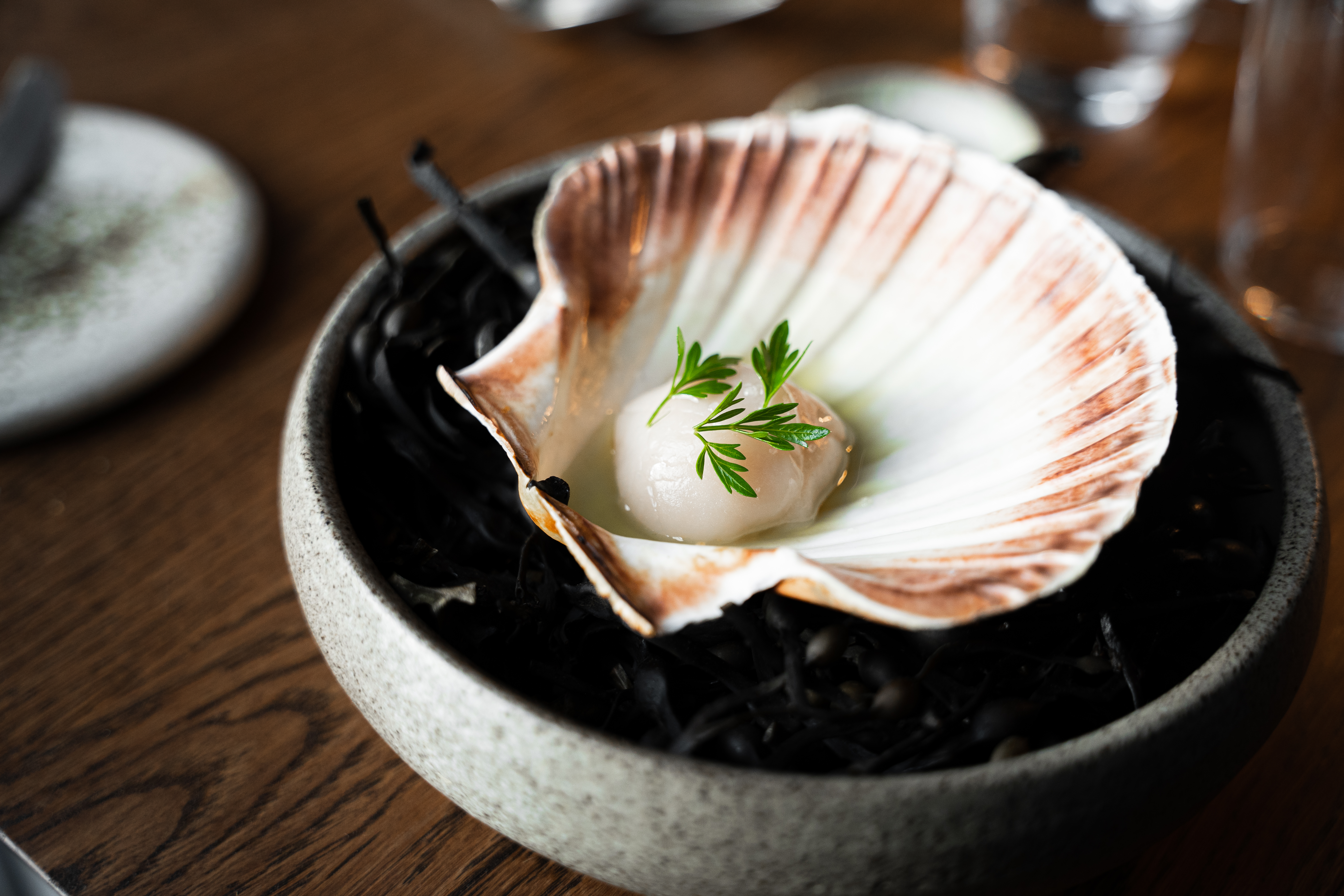 Coquille gerecht bij Amass