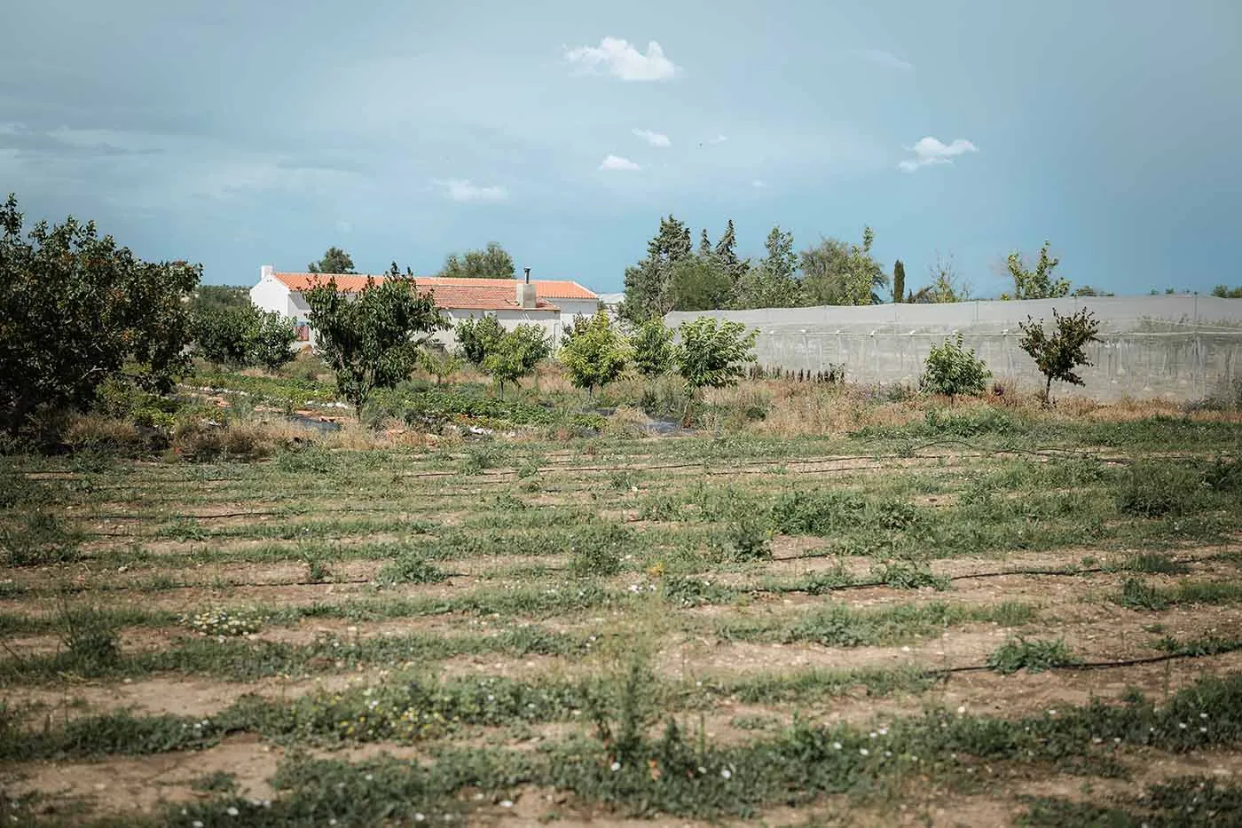 Extreme zomerhitte & -droogte in Europa | foto door: We're Smart